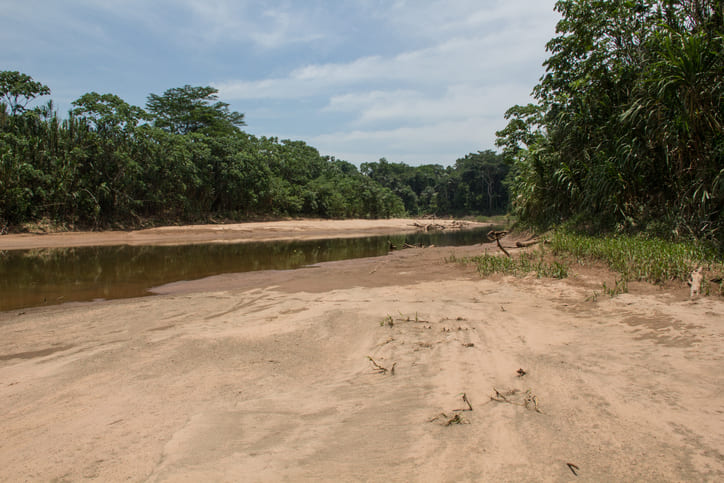 Imagem de capa - Seca histórica no Amazonas prejudica fauna local