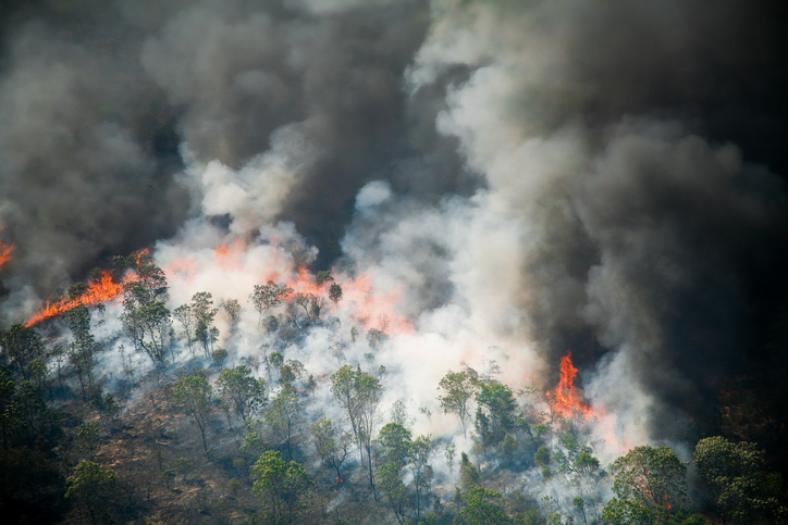 Imagem de capa - Mais de mil desastres naturais aconteceram no Brasil, em 2023